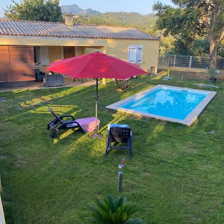 Agreable Rez De Jardin Avec Piscine Et Jacuzzi Appartement Cervione Buitenkant foto