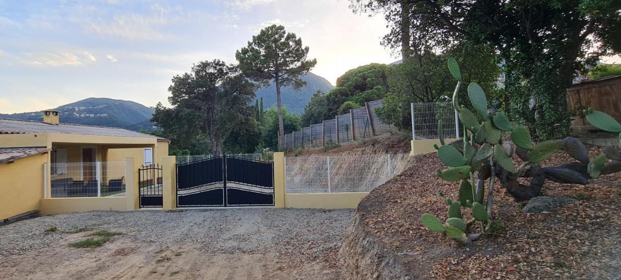Agreable Rez De Jardin Avec Piscine Et Jacuzzi Appartement Cervione Buitenkant foto
